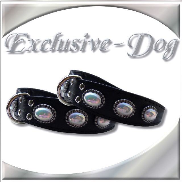 Schmuckhalsband Lederhalsband Chihuahua