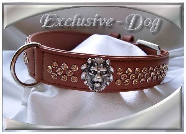 Bild vergr&ouml;&szlig;ern