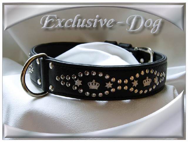 Bild vergr&ouml;&szlig;ern