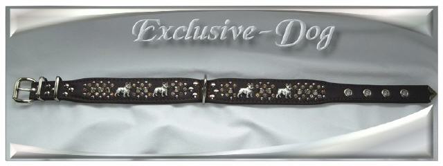 Bild vergr&ouml;&szlig;ern