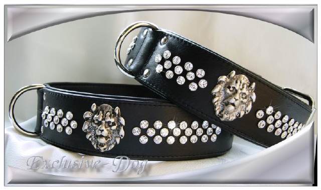 Bild vergr&ouml;&szlig;ern